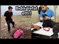 BIDIK ve MAYA&#39;YI Kaybettik!