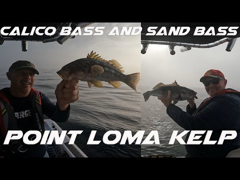 10/29/2024 Point Loma Kelp With Jeff Bass and rockfish