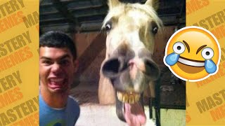 TENTE NÃO RIR: OS MEMES MAIS ENGRAÇADOS DA INTERNET