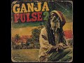 GANJA PULSE 2 [Unreleased 1980 AlbumRoots Reggae | Dub | Rastafari | Lost Tapes
