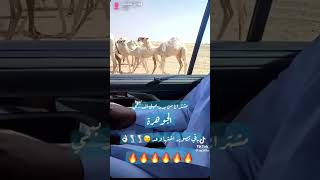 مشترا حصري محمد ابن فهاد ابن جخدب