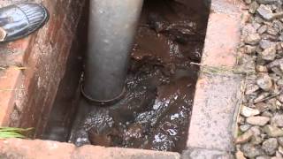 Complete Drain Clearance