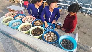 North Korean Food Seafood At Wonsan - Catch Of The Day