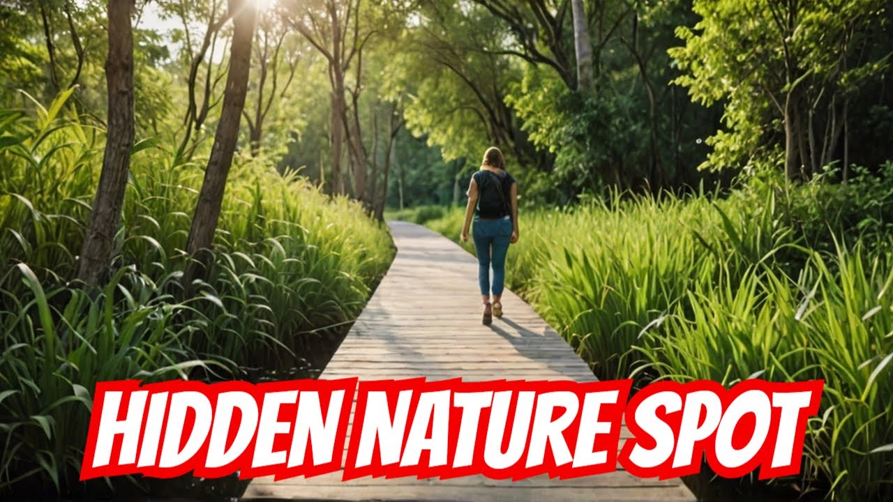 Hidden Nature: Rattray Marsh Conservation Area Exploration