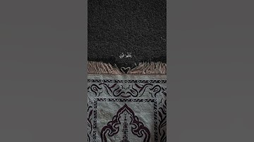 قَالَ رَبِّ ٱشۡرَحۡ لِي صَدۡرِي || شريف مصطفى سورة طه تلاوة من عالم آخر😴💙
