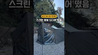 출시일: 11/7(목) 자세한 가격 및 스펙정보는 포레스트유 커넥터블타프 상세페이지를 참고해주세요😊