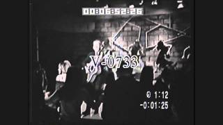 Little Jimmy Dickens - May the Bird of Paradise Fly Up Your Nose