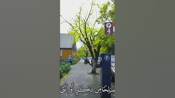 صلي وسلم وبارك على سيدنا محمد  قرآن#قرآن #تلاوة هادئة#قرآن_كريم#اذكروا_الله#لا_اله_الا_الله#