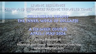 Collateral Beauty: The Inner Work of Collapse Acceptance. a Six-Week Free course - Living Resilience