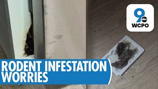 Tenants plead with Cincinnati City Council for help with chronic apartment problems