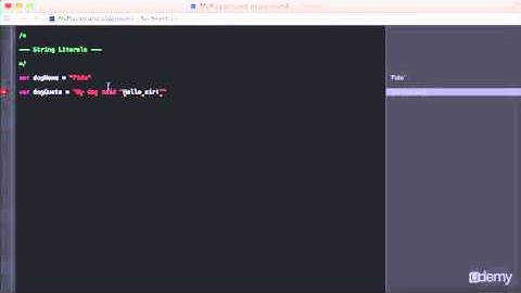 SECTION 4:Video28 String Literals