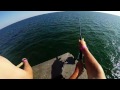 FISHING - Pensacola Beach Pier - Catching ladyfish on Gulp ...