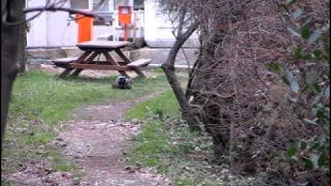 Monocular depth perception based reflexive autonomous vehicle