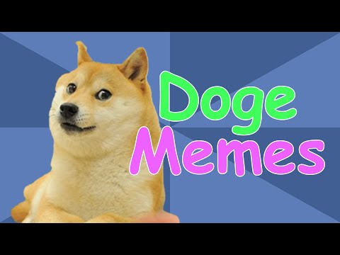 The Story Behind Doge, The Internet's Most Beloved Dog | Meme History