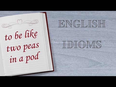 Video: Like Two Peas In English