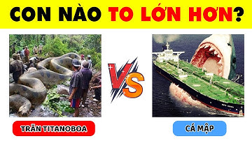 Vượt Qua 17 Câu Đố KỲ LẠ Và BÁ ĐẠO Về Các Loài Động Vật Chứng Tỏ Bạn Thực Sự Hiểu Biết | Nhanh Trí