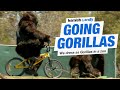 Hamish & Andy's gorilla prank