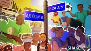 Download lagu MOLIY - Shake it [ Audio]