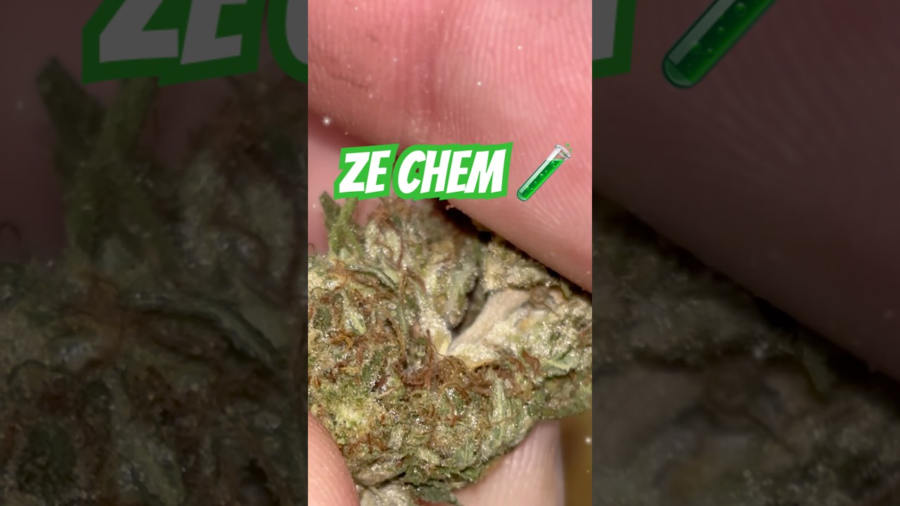 Ze Chem Sneak Peek 👀 JK Distro Did It Again!