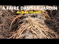 QUE FAUT-IL FAIRE DANS LE JARDIN DU 9 AU 16 AVRIL LE PENSE-BÊTE ET LES CONSEILS DE PATRICK ET ROLAND