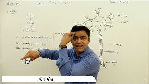 ધોરણ - 10 - વિજ્ઞાન - ચેપ્ટર - 7 - નિયંત્રણ અને સંકલન (ચેતાકોષ ) ભાગ - 3