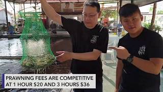 Ah Hua Fishing and Prawning at Singapore Neo Tiew Lane 2, Gallop Kranji Farm Resort