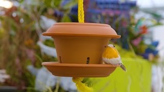 http://www.terragreenhouses.com/ DIY Bird Feeder! Try this one with the kids! #DIYBirdFeeder #TERRAHowTo #KidsCraft.