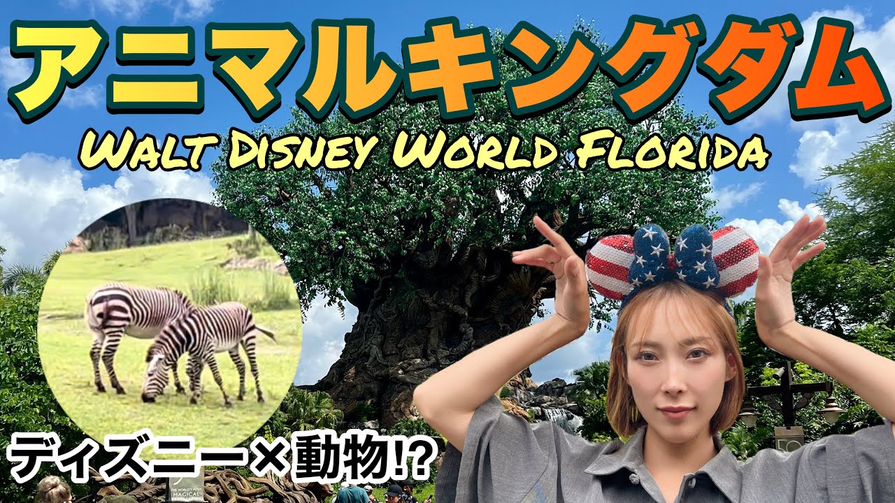 ディズニー動物園 まるでサファリパークなアニマルキングダム ウォルトディズニーワールドフロリダ オーランド 42 Youtube ディズニー動物園 まるでサファリパークなアニマルキングダム ウォルトディズニーワールドフロリダ オーランド 42 Youtube