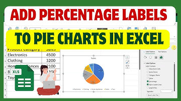 How to Add Percentage Labels to Pie Charts in Excel