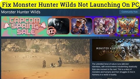 Fix Monster Hunter Wilds Not Launching/Won