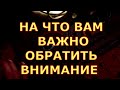 НА ЧТО ВАМ ВАЖНО ОБРАТИТЬ ВНИМАНИЕ СЕЙЧАС таро онлайн сегодня