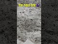 #게들의합창#오이ㅡㅡ잉