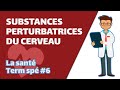 Substances perturbatrices du cerveau- SVT - SANTÉ Term spé #6 - Mathrix