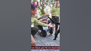 Kiểm Lâm Tiếp Nhận Cá Thể Vượn Đen Má Trắng - Tin 60 Giây #shorts