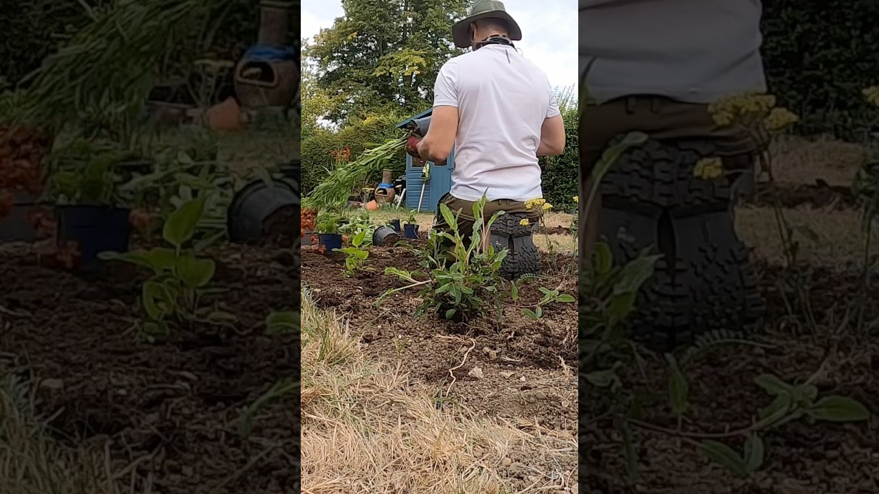 Planting a Border Like a Pro | UK Garden Design in 60 Seconds 