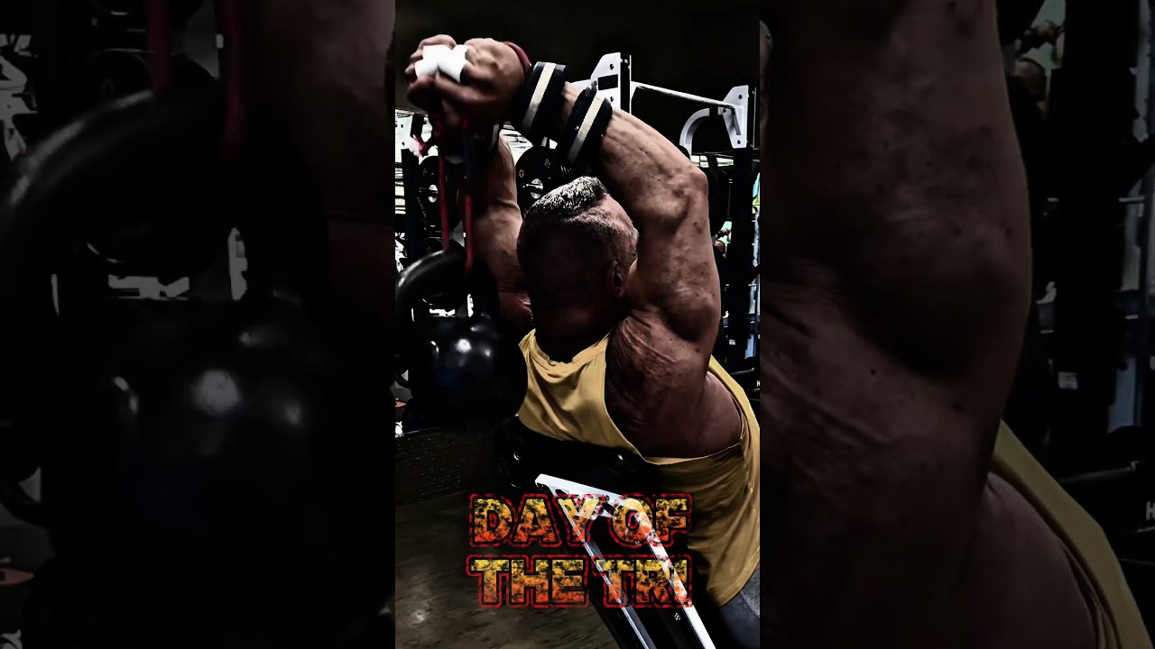 THE DAY OF THE TRI MOTIVATION #motivation #muscle #workout #triceps