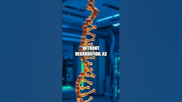 Exploring the Potential of DNA Data Storage