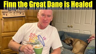 Finn the Great Dane is Healed by Great Dane Channel 879 views 10 months ago 6 minutes, 54 seconds