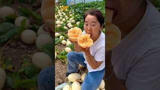Enjoy with eating cucumber natural - Cucumber farming life #life #shorts #cucumber #viral #2026