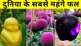 दुनिया के सबसे महंगे फल | 7 Most Expensive Fruits in the World | Costliest Fruits