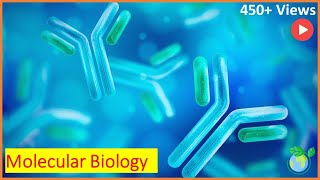 Learn About an Introduction to Molecular Biology in 8 Minutes