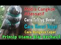 Tutorial Mencangkok Jambu Air dengan Media Alternatif Kompos Trembesi