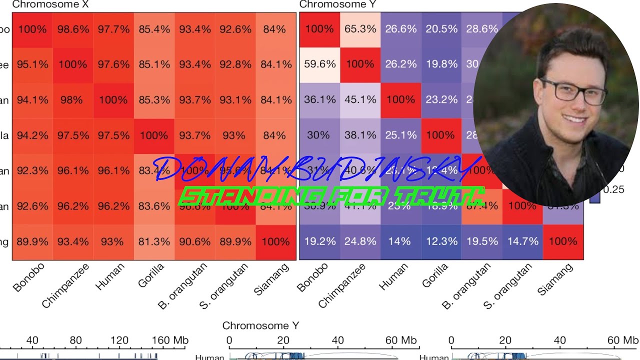 The Genetic Evidence and the Y Chromosome Data | Apologetics 101 Highlights