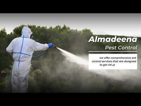 Pest Control Company | Home & Commercial Pest Control Service - video from Al Madeena Pest Control