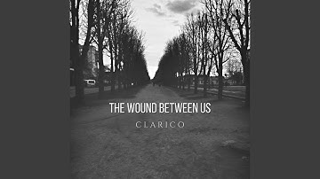 The Wound Between Us