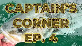 Play video: Late-Season Albie Madness with Capt. Ray Jarvis | Captain’s Corner Ep. 4