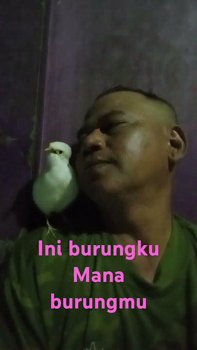 nah ini dia. #cover #dangdut #music #coversong #storywa