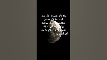#سورة_البقرة #تلاوة_سورة_البقرة #اكسبلور #لايك #سورة_البقرة_كاملة #راحة_نفسية #قراءه_سورة_البقرة