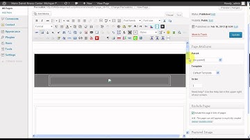 BestWebsitesDesigner.com video explaining how to do content changes in WordPress