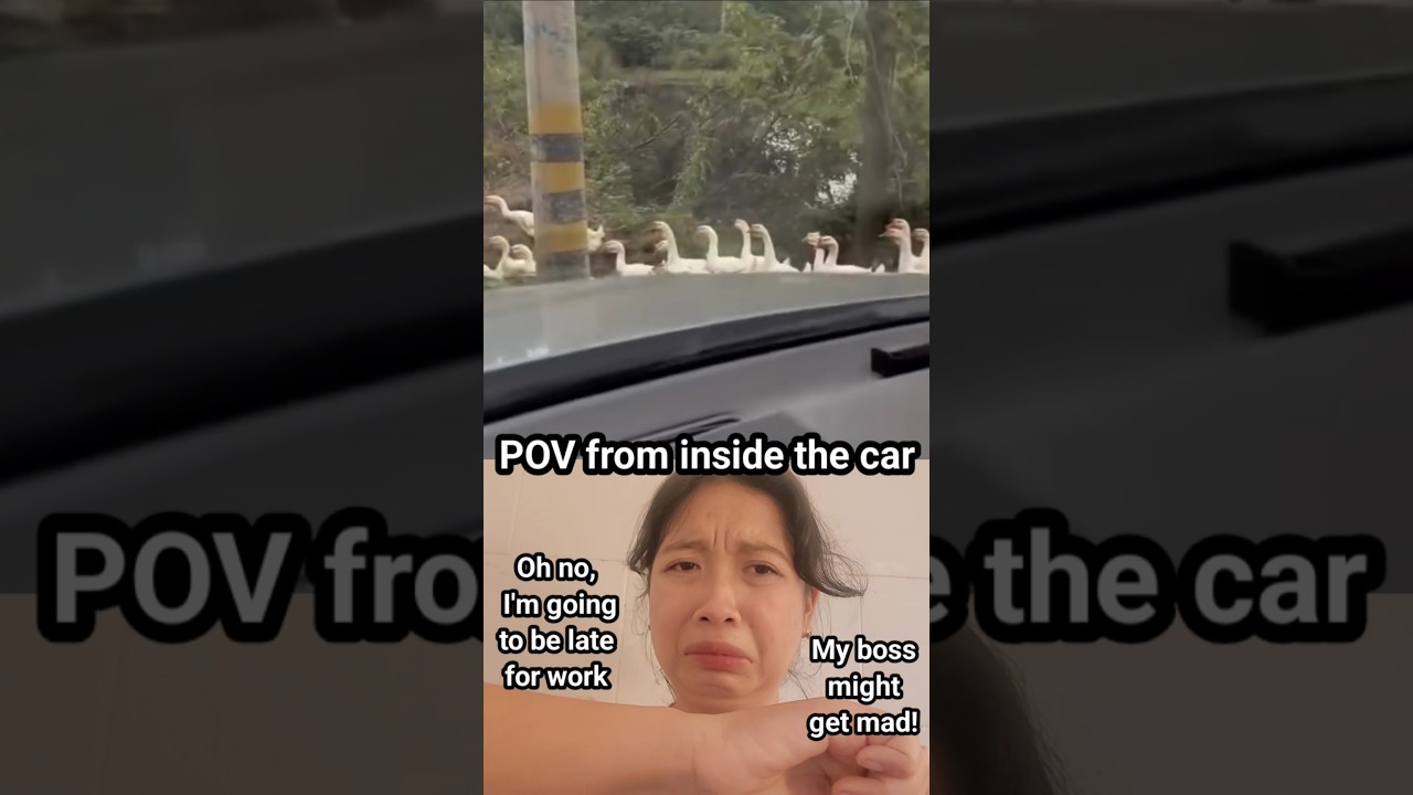 #большойпарень